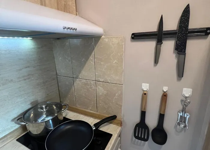 Nikolov * וארנה